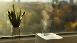 Humidificador de aire haciendo vapor caliente: video de stock (totalmente libre de regalías) 1099535215 | Shutterstock