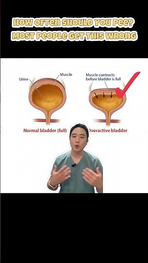 Are You Peeing Too Much? Find Out What’s Normal!