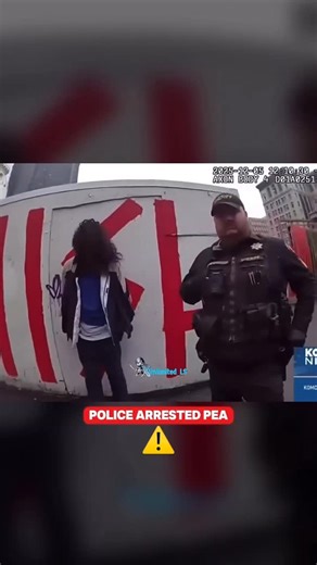 ★ 𝐌𝐨𝐫𝐠𝐚𝐧 ★ on Instagram: "A 75-year-old woman was brutally attacked outside the King County Courthouse in downtown Seattle. The suspect used a wooden board with a screw in the end, striking her in the face and gouging out her eye. Doctors have confirmed she will not regain her sight. Officers immediately recognized the suspect — describing him as someone known for random assaults in the area. This wasn’t a robbery. This wasn’t provoked. This was a reminder that violence can happen anywhere