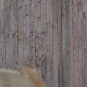 Don't forget to pay your vehicle tax! You can easily tax your vehicle online at: www.gov.uk/dvla/tax #TaxItDontRiskIt #DVLADigital | Driver and Vehicle Licensing Agency