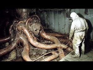 Top 10 Terrifying Chernobyl Mutations Caught on Camera