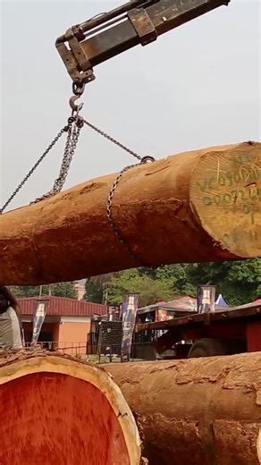 Your African hardwoods don't stand a chance. Wood-Mizer sawmills are built tough enough to handle what you throw at them, day in, day out. #WoodMizerAfrica #Sawmill #AfricanHardwood #TimberBusiness #BuiltTough #SawmillAfrica #HardwoodSawmilling | Wood-Mizer