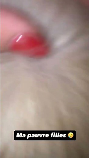 ديفا ريبيكا ♦️ بنتي شانيكة مريضة 🐶🤒 | ‪@divarebeccavlog‬