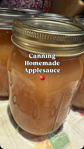 Homemade Canned Applesauce is actually very easy! In this video, I’ve included all the steps from washing to cooking to actually canning the applesauce. Canning frees up freezer space and keeps the prospect of loosing food from power outage lower. Recipe: -Clean, cut and place apples in large pot with water on the bottom. -Let cook until apples are soft, stirring so they don’t stick to the bottom. -Once done, place apples in a foley to revive peels, seeds and more. -Place back on stove, add desi