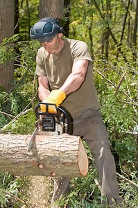 The Tools for the Adjustment of the Carburetor on Craftsman Chainsaws