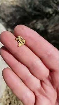 Metal Detecting a Gold Nugget near Lida Nevada