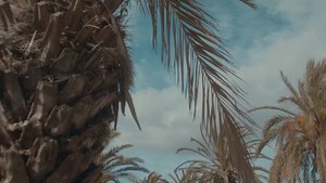 Fashion & Football, Summer 2021 ☀️ footballtown.com 🌎🌍🌏 | Football Town