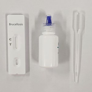 [Hot Item] CE Brucella Rapid Test Kit Strip for Whole Blood Antibody Igg