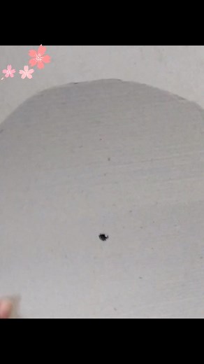 1.7K views · 29 shares | Idei creative pentru copii Flori de primăvară | Jocuri educative și activități pentru copii | Facebook