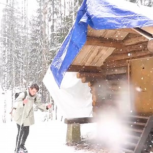 Alone building an off grid log cabin natural wood insulation.#bushcraft #adventure #outdoors #survival #camping #cabinlife #cabincrew #wilderness #logcabin | Mountain Cabins