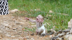 499K views · 10K reactions | God!! Harry's Breaking Cry Not Able To Walk Himself | Monkey Daily | Facebook