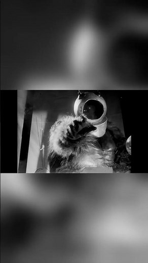 This might be the most confusing sci-fi movie ever made! 🤯 ROBOT MONSTER (1953)