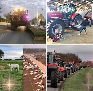 298K views · 3K reactions | 2025 : vos publications préférées ✨️...