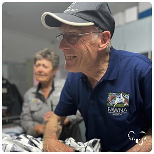 2.6K views | Koala Hospital Port Macquarie on Reels | Facebook