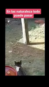 Mucho cuidado😱. | Manuel Buendia