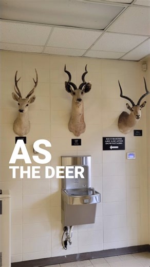As the deer panteth... | Ed Wiley