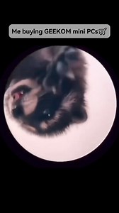 🥹But Dad I really need a GEEKOM XT12 Pro! 🤩🔗: [https://www.geekompc.com/geekom-xt12-pro/](https://www.geekompc.com/geekom-xt12-pro/?fbclid=IwZXh0bgNhZW0CMTAAAR3pCHwQERXEzyQ52pgVLmu3F7bR-Xl7ymzyfKvf6dpVgNdHuT5FgKU3hIY_aem_AaeD1cIASMJThfhJA4R_o7ebYN600pSMPYnCgbcBjMIDpe-1i6TW_dW2uTv8w9Ps4MtqZeQShmoXxQrlQUJDoGyp) CODE: XT2F --- [#GEEKOM](https://www.facebook.com/hashtag/geekom?__eep__=6&__cft__[0]=AZX065AM19WY1u3FCnE10QqD3k6n_5vemqOXzfbktiBM_HqbItT9znoUphfnBHCMxCcHVso6JaOusDT5cEHH8CB0iBQzmOVhtkws