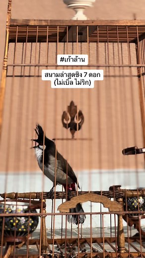 Ang_keela บน TikTok