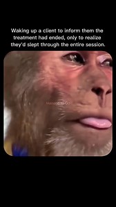 Noooo, I Missed It! Slept Through the Whole Thing: The Ultimate Client Review | Massage-to-Go