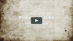 Airway Management Academy Multimedia Library - Blakemore tube SALAD simulation