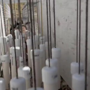 10K views · 248 reactions | Puppy obstacle course with a few of our German Shepherds  The sable colored female is now available! You can reach our office for more information at (805)647-1799 or office@goldcoastk9 #quality #since91 #whatsyourstandard #tacticalfuel #goldcoastk9 | Gold Coast K9 | Facebook