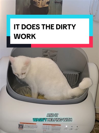 Automatic Litter Box That Cleans for You