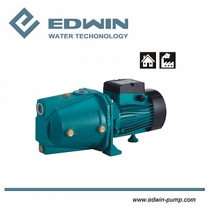 [Hot Item] 100% Copper Wire Ss Jet Pump Self-Priming Garden Irrigation Water Pump