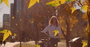 Animation von Blättern, die über den: Stockvideos & Filmmaterial (100 % lizenzfrei) 1091233643 | Shutterstock