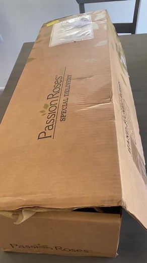 You are very welcome Miss Earth Air 2021 Marisa Butler 👑 😊 It is our absolute pleasure 🌹 Thank you for this lovely video 💖 #PassionRoses #MissEarthAir #MarisaButler #MissEarthAir2021 | PassionRoses