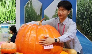 1.4K views · 238 reactions | Ranging from aerospace-bred crops to AI-powered agricultural machinery, futuristic innovation takes center stage in the 30th China Yangling Agricultural Hi-Tech Fair. | China Xinhua News | Facebook