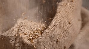 Procédé de broyage de malt dans : vidéo de stock (100 % libre de droit) 3993418903 | Shutterstock