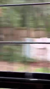 18K views · 2.7K reactions | Wild bites! Pre release raccoons, life with a calf that sleeps late and the newest fawns. Enjoy! | Wild Heart Ranch | Facebook