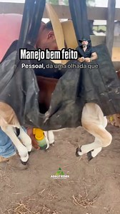 Manejo bem feito | 7Agro7