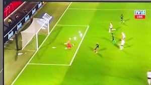 TULIBAKULEKAFYE! Zambia Ku CHALO! | Chinyama Pig Farms