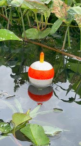 Float Fishing | Fishing Village