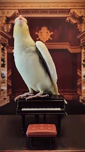 4K views · 95 reactions | dbStrings on Reels | Facebook