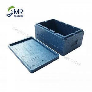 [Hot Item] Portable Storage Light Weight Insulated EPP Foam Cooler Box for Food Delivery