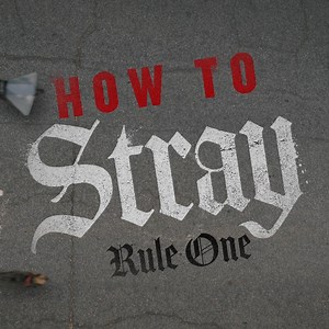 We don’t make the rules, we just pee on ‘em. Get tickets to #StraysMovie, only in theatres August 18. 🎟: https://bit.ly/StraysTickets | Marcus Addison Cinema