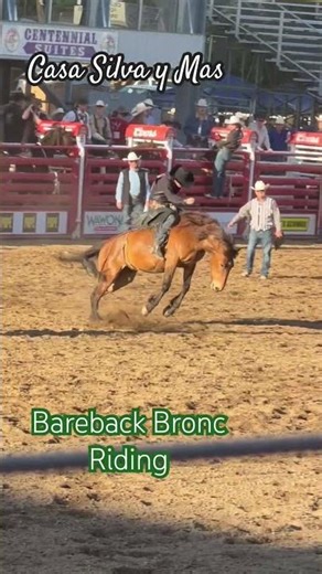 BareBack Bronc Riding #horse #rodeo #california