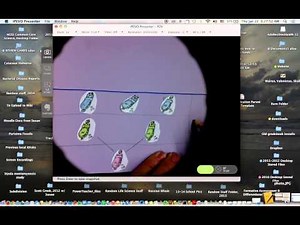 How to get started on the Caminalcule Evolution Lab