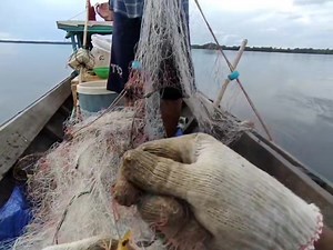 Shrimp trawl net, catches a lot of shrimp in the sea | Zami Akbar