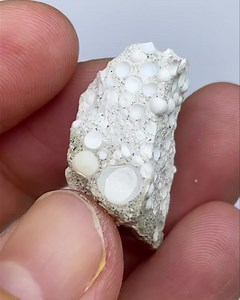 Pisolite from Karlovy Vary (Czech Rep.), size: 2.5 cm, price: $15 ( shipping fee). We ship worldwide. Please DM to claim or get more details. To see more of our minerals visit www.SpiriferMinerals.com 10334 #spiriferminerals #spirifer #mineralcollecting #mineralspecimen #mineralcollection #rockhounding #rockhound #minerals #mineral #rocks #rock #fineminerals #mineralogy #geology #crystalsforsale #mineralsforsale #pisolite #pisolites #karlovyvary | Spirifer Minerals