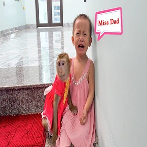 Monkey Kaka and Diem crying on the stairs because they missed dad | A Bi Monkey