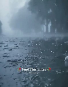 2.1M views · 109K reactions | - Golden Words 鹿 | Deep Ｍｅｍｏｒｙ | Facebook