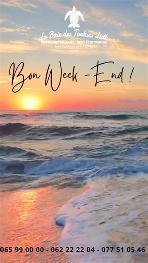 1.3K views | La Baie des Tortues Luth - Officiel on Reels | Facebook