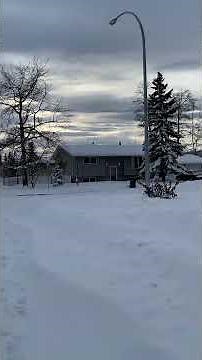 Snowy FSJ #canada #snow #canadadiaries #canadalife #discoveringcanada #traveldestinations
