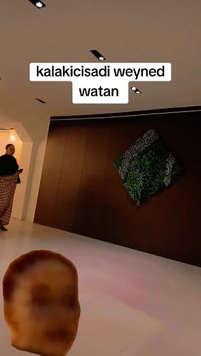 Qarxis Wasmo: Kalakicisadi Weyneda Watan