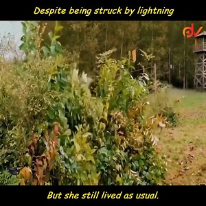 Discover the Greatest Films Streaming on YouTube: #YouTube #Streaming #Movies #Entertainment | God Bless Job Applications | Facebook