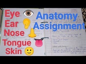 Eye, Ear, Nose, Tongue, Skin Anatomy Assignment | Bsc nursing 1year #assignment #nursing #anatomy