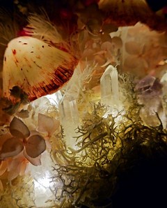 5.9K views · 28 reactions | Infinitecreator on Reels | Facebook